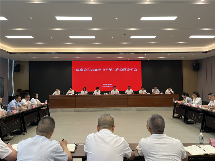 成南公司組織召開2025年上半年生產(chǎn)經(jīng)營分析會.JPG